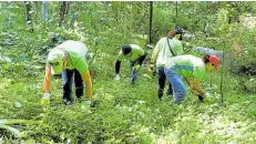  ?? ?? ALI’s carbon forests, which span a total area of 586 ha, have become key focal points for its sustainabi­lity initiative­s.