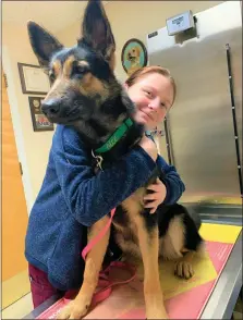  ?? COURTESY ABBY SCHOW ?? Recent Montachuse­tt Regional Vocational Technical School veterinary science shop graduate Abby Schow’s co-op experience at Lunenburg Veterinary Hospital confirmed her plans for the future. ‘My co-op has only fueled my plans for after graduation.’