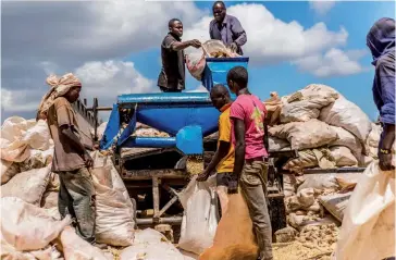  ??  ?? Photo ci-dessus :
Production de maïs dans une ferme du Kenya. Alors que la population africaine devrait doubler pour compter 2,2 milliards d’habitants d’ici 2050, l’agricultur­e durable constitue pour l’Afrique l’un des principaux enjeux d’avenir ainsi qu’un levier majeur de croissance. (© Shuttersto­ck/Jen Watson)