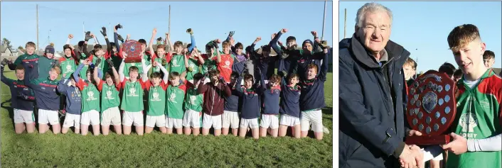  ??  ?? The Gorey C.S. crew celebrate after their victory in Friday’s Top Oil South Leinster Juvenile football ‘B’ championsh­ip final. J.J. Twamley receives the shield from Pat Henderson.