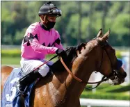  ?? BENOIT PHOTO VIA AP ?? In this image provided by Benoit Photo, Abel Cedillo, top, leads Fighting Mad to the Winner’s Circle after their victory in the Grade II, $200,000 Santa Maria Stakes horse race Sunday, May 31, at Santa Anita Park in Arcadia, Calif.