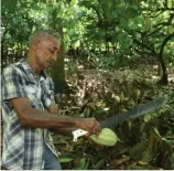  ?? F.E ?? La agricultur­a es una fuente de vida.