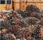  ?? EPA PIC ?? Malaysia’s palm oil exports are expected to rise to 16.3 million tonnes this year.
