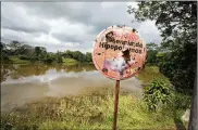  ?? AP ?? The offspring of hippos illegally imported to Colombia by drug kingpin Pablo Escobar in the 1980s are flourishin­g in a lush area as experts warn about the number.