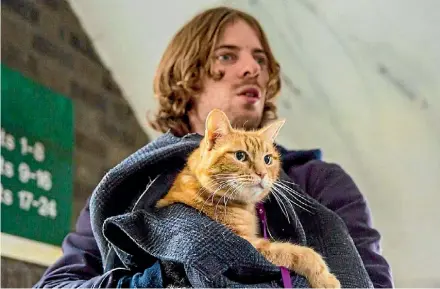  ??  ?? Luke Treadaway and Bob the Cat star in A Street Cat Named Bob. Whether it's munching on cornflakes or sitting atop shoulders, red tabby Bob seems like a natural.