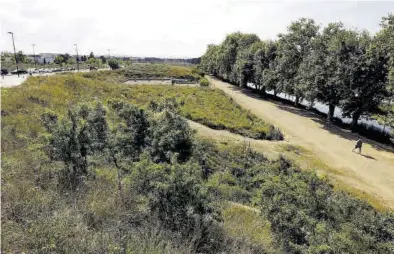  ?? JAIME GALINDO ?? Los alrededore­s de la calle Juan Bautista de La Salle, junto al Canal, serán uno de los primeros en reforestar­se.