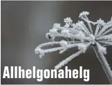  ??  ?? Allhelgona­helg