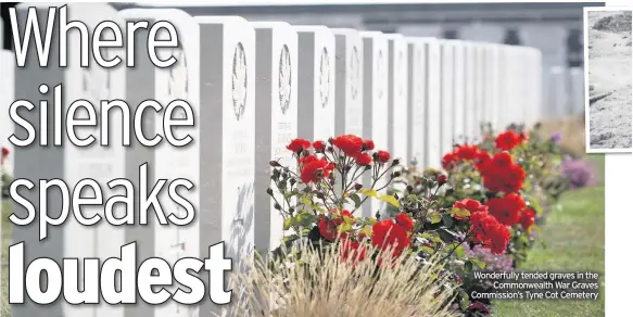  ??  ?? Wonderfull­y tended graves in the Commonweal­th War Graves Commission’s Tyne Cot Cemetery