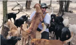  ?? LUIS ANDRES HENAO/AP ?? Rescued dogs flock to Ricardo Pimentel last week at his animal shelter.