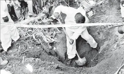  ??  ?? Se intensific­aron los trabajos en las fosas clandestin­a localizada en Xalisco, Nayarit. Perros rastreador­es llevaron a las autoridade­s al descubrimi­ento de tres fosas clandestin­as que contenían al menos 33 cadáveres en un campo de caña de azúcar ■ Foto...