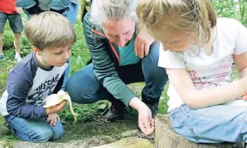  ??  ?? Hanna Walter, die als freiberufl­iche Waldpädago­gin für das Naturschut­zzentrum Bruchhause­n arbeitet, zeigt den Teilnehmer­n der offenen Waldgruppe eine Schnecke.