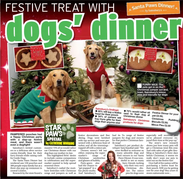  ??  ?? ■
FURRY NICE: The pets get in on the Christmas jumper act and, inset, Sainsbury’s mince pies and biscuits for dogs