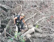  ?? ?? Ramirez walks out of a cave known as Dama Blanca (White Lady) in the constructi­on site of Section 5 South of the Mayan Train between the resorts of Playa del Carmen and Tulum.