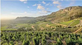  ?? SUPPLIED ?? Perfect setting: A view of Klein Constantia’s sauvignon blanc vineyards. /