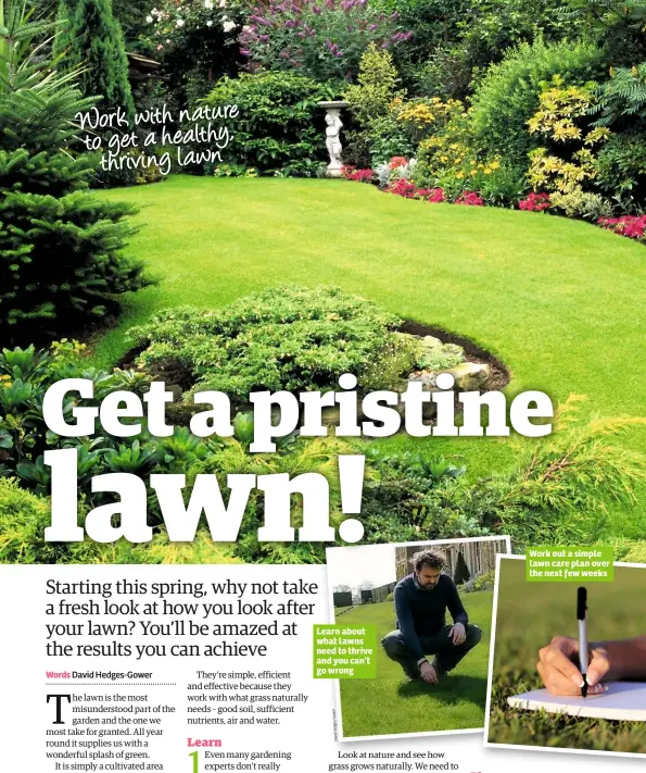  ??  ?? Learn about what lawns need to thrive and you can’t go wrong Work out a simple lawn care plan over the next few weeks Work with nature to get a healthy, thriving lawn