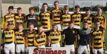  ??  ?? Rathnure, runners-up in Saturday’s county final in Taghmon.