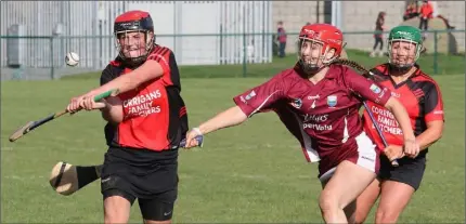  ??  ?? Flashback to last year’s Senior final as Mary Barrett (St. Martin’s) tries to hook Shelley Kehoe of Oulart-The Ballagh.