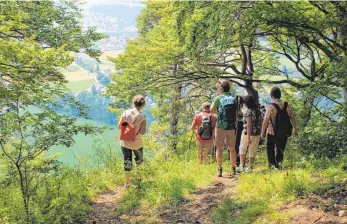  ?? FOTO: DONAUBERGL­AND TOURISMUS ?? Die Wanderung bieten zahlreiche Ausblicke in das Donautal.