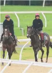  ?? Irish galloper US Navy Flag ( right) exercising in Sydney. ??