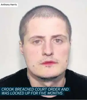  ??  ?? Anthony Harris CROOK BREACHED COURT ORDER AND WAS LOCKED UP FOR FIVE MONTHS