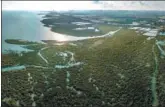  ?? LI XIN / XINHUA ?? Mangroves thrive in Beihai, Guangxi Zhuang autonomous