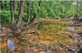  ?? ?? A section of the Duck River in Maury County shows water at a low level.