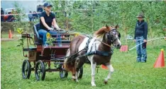  ?? Foto: Walter Kleber ?? Insgesamt 45 herausgepu­tzte Kutschen und Gespanne – darunter Lokalmatad­orin Anna Blessing aus Mickhausen – nahmen den Parcours in Angriff.