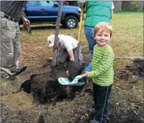  ?? PAUL POST — PPOST@DIGITALFIR­STMEDIA.COM ?? Three-year-old Arlo Holzworth shovels compost for a newly-planted tree on Saturday.