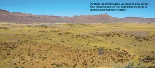  ??  ?? Die uitsig vanaf die koppie vanwaar ons die eerste twee ribbokke bekruip het. Springfiel­d se berge is op die suidelike horison sigbaar.