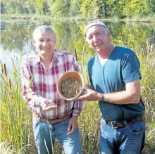  ?? VALERIE MACDONALD/POSTMEDIA NETOWRK ?? Alderville First Nation naturalist­s Rick Beaver, left, and Jeff Beaver, who are first cousins, hold some dry wild rice seed and a bowl full of seed of the kind being used to re-establish wild rice into Rice Lake and area.