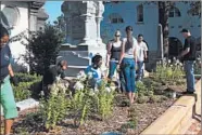  ?? SARA HENDERSON PHOTO ?? Volunteers garden at Oakland Cemetery. The graveyard in Atlanta relies on dozens of volunteers for gardening.