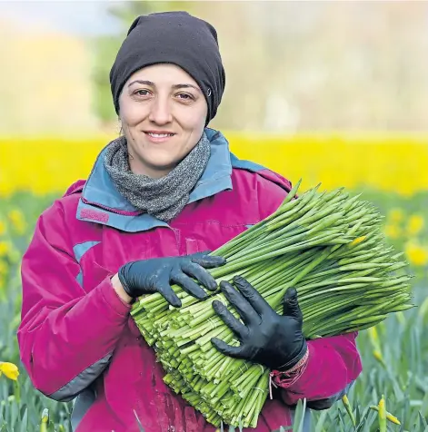  ??  ?? Maria, from Romania, has been living in Scotland for 11 years and is a supervisor at Salmon’s Farm, near Montrose.