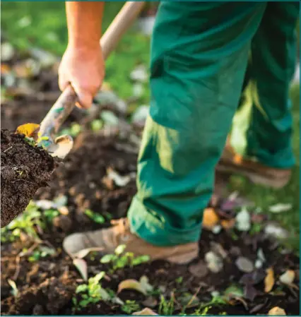  ??  ?? Gardening is good for the soul, even though the no-dig variety is all the rage