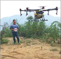  ?? PROVIDED TO CHINA DAILY ?? Mei Songwu, 30, who received training at DJI UTC’s school in Wuhan, is now running his own company, which uses drones to spray agricultur­al crops.