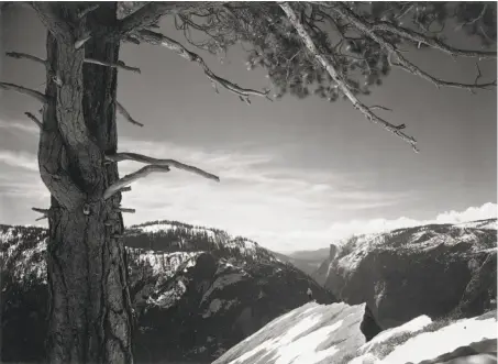  ?? Ansel Adams / Scott Nichols Gallery ?? “On The Heights,” taken by Ansel Adams in Yosemite Valley in 1927, was an early gelatin silver print made circa 1936.