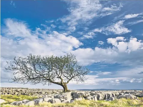  ??  ?? PICTURE PERFECT: The limestone scenery of the Yorkshire Dales puts it among the UK’s beauty spots, alongside the Lakes and the Peak District.