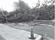  ??  ?? This power pole on King Street in Shelburne was felled by a huge, old tree that had been uprooted by post-tropical Storm Dorian on Sept. 7.