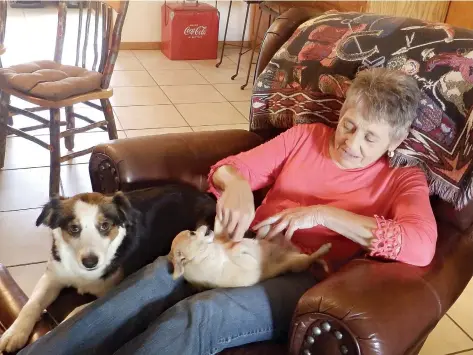  ?? Staff photos by Andie Martin ?? “Mama” Bonnie Yates loves dogs and animals in general. On the left is Sage, a 3.5-year-old female miniature Australian shepherd. In her lap is 7-year-old Crazy Mazie Yates, a female chihuahua. The Yates have another dog, 12-year-old Wrangler, is a Jack...