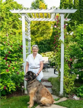  ?? Lucy Schaly/Post-Gazette ?? Lyn Babcock in her backyard garden with her dog, Kipling. On the left is ‘Aphrodite’ sweetshrub.