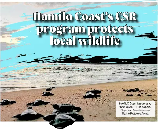  ?? ?? HAMILO Coast has declared three coves — Pico de Loro, Etayo, and Santelmo — as Marine Protected Areas.