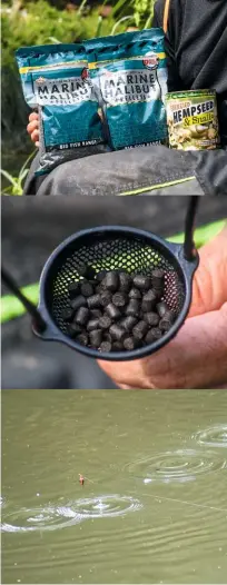  ??  ?? LEFT FROM TOP: Halibut pellets score well at Bromham, with Hempseed & Snails also a winner. Keep the feed going in and the fish will soon respond