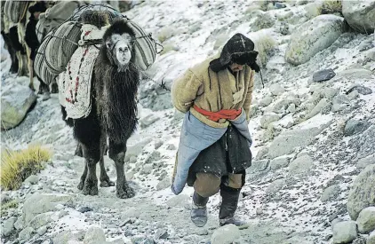  ?? [ AKG/Picturedes­k/Roland und Sabrina Michaud] ?? Unterwegs auf immer denselben alten Wegen. Sie änderten sich ebenso wenig wie die Menschen und Tiere, die sie benützten. Foto: Karawane im Nordosten Afghanista­ns, 1971.