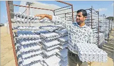 Gaza’s chicken farmers rejoice in recycled egg trays - PressReader
