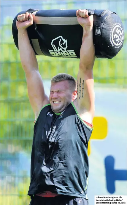  ??  ?? they test out combinatio­ns. &gt; Ross Moriarty puts his back into it during Wales’ Swiss training camp in 2015