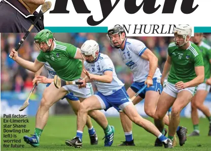  ?? ?? Pull factor: Ex-Limerick star Shane Dowling (far left) is worried for future