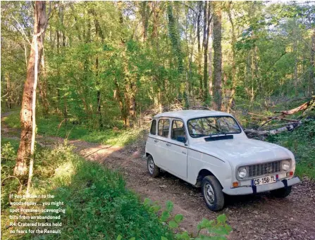  ??  ?? If you go down to the woods today… you might spot Pressnell scavenging bits from an abandoned R4. Cratered tracks hold no fears for the Renault