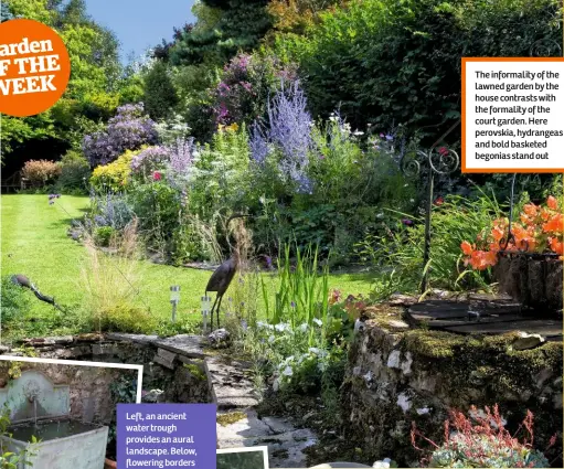  ??  ?? The informalit­y of the lawned garden by the house contrasts with the formality of the court garden. Here perovskia, hydrangeas and bold basketed begonias stand out