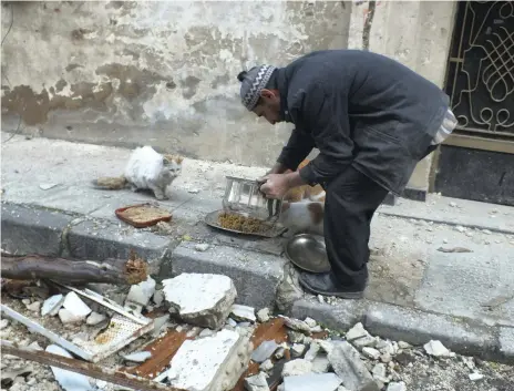  ?? Reuters ?? A man gives food to cats in Homs, much like Sami did even after his house was destroyed in a missile strike