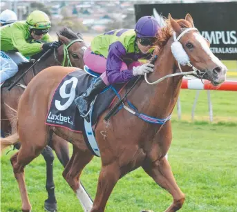  ?? Picture: TASRACING ?? TRAINER IMPRESSED: Siggy Carr pilots Gee Gee Lanett to an easy win in a BM72 Handicap over 1100m at Elwick yesterday.