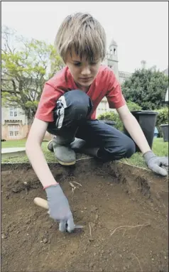  ??  ?? Digging: Alec Paynter (13) digging in a test pit during an archaeolog­ical dig at Abbey College in Ramsey. 18-05-12BD400) Picture: BEN DAVIS.